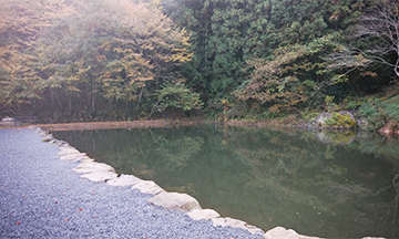 フォールポンド