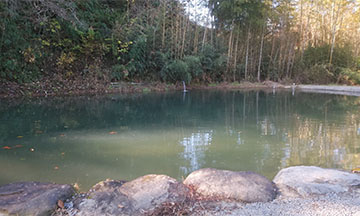 シャローポンド