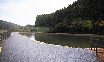 スペシャルポンド