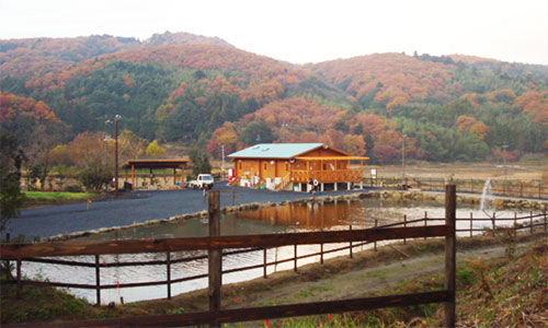 自然豊かな環境