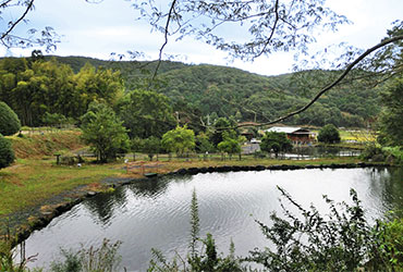 初めてご利用される方へ